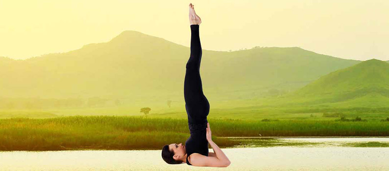 Sarvangasana
